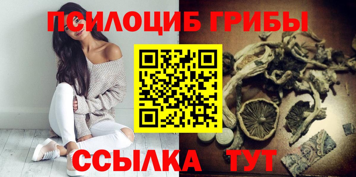 Галлюциногенные грибы MAGIC MUSHROOMS  Вход с VPN  продажа наркотиков  Псилоцибиновые грибы Cubensis  Кашира 